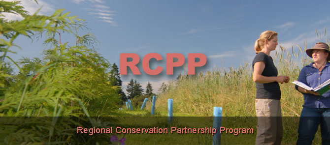 2014 rcpp page banner