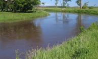 Big Stone NWR Habitat