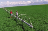 Field crop irrigation system (Photo credit NRCS)