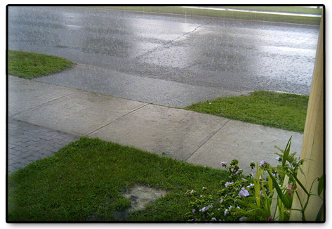 Rainy Street