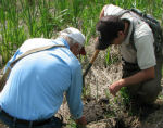 Biological Research and Monitoring promo crop