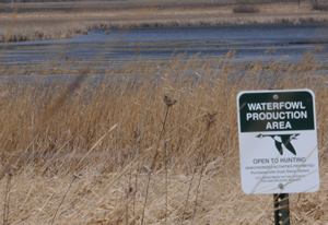 WPA Sign