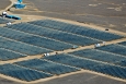 The California Valley Solar Ranch produces clean, renewable electricity at the scale of traditional power plants. | Photo courtesy of SunPower. 