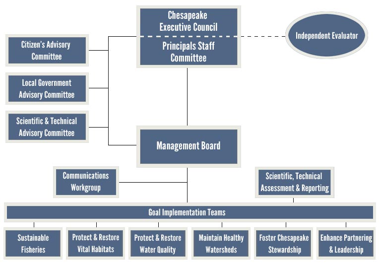 An org chart