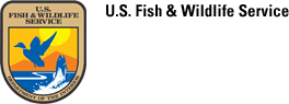 U.S. Fish & Wildlife Service