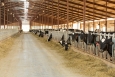 Energy Department Funding Helping Energy-Intensive Dairy Industry