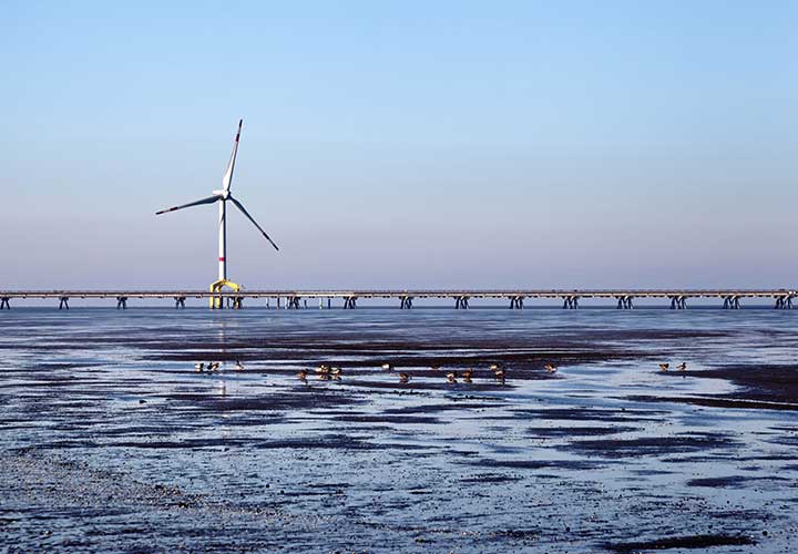 A photo of a single offshore wind turbine with a pipeline in front of it and several birds in the foreground.