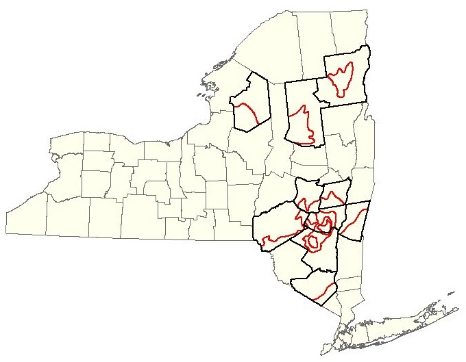 Statewide county splits