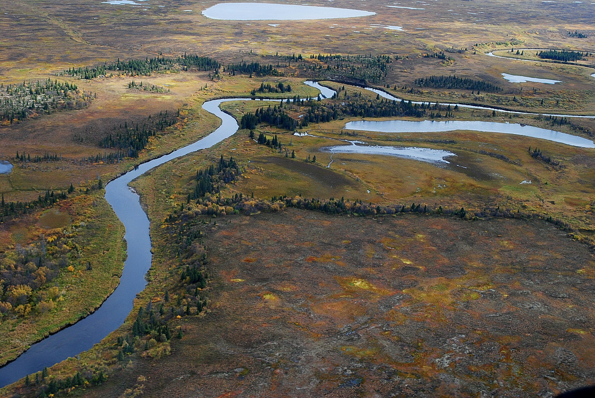 Aerial photograph of river and wetland