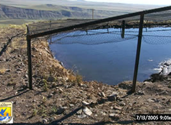 Oil in the berms of production skim pits can seep onto the pond surface. Credit: USFWS.