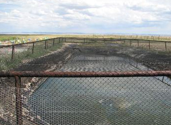 Netting covering waste pit. Credit: USFWS.