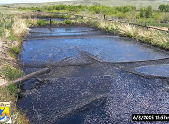 This net was installed less than 5 feet above the fluid surface. A heavy snow-load caused the net to sag into the oil-covered pond. The exposed oil entrapped migratory birds. Credit: USFWS.