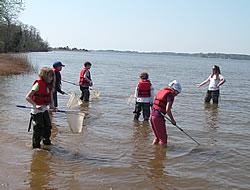 Students with Dip Nets