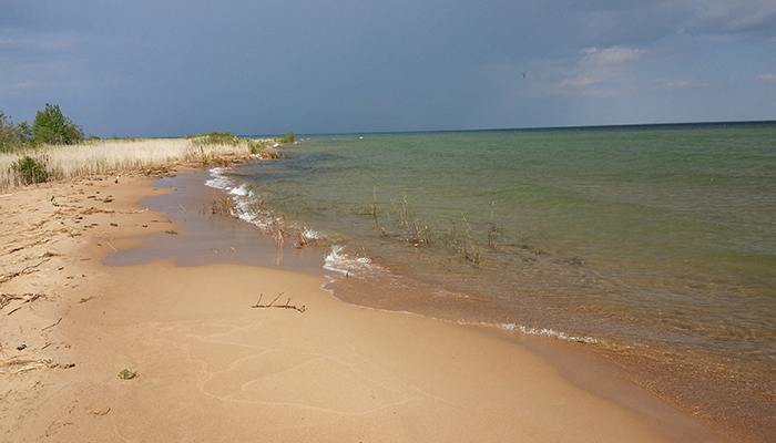 The Lake Huron shoreline at Tawas Point, Michigan. This area is part of the Great Lakes Coastal Wetlands Resilient Lands and Water Partnership.