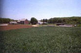 Photo of Dame Farm 