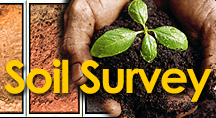 Web Soil Survey