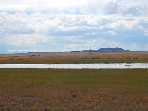 Restored Playa Basin, Colorado. Credit: USFWS.