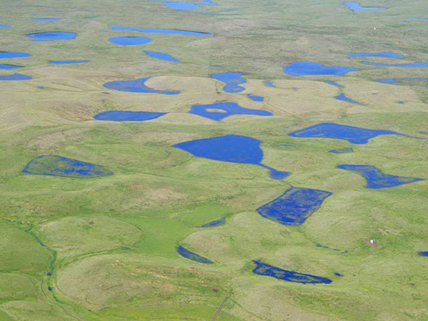 Aerial view of a Montana wetland. Credit: USFWS.