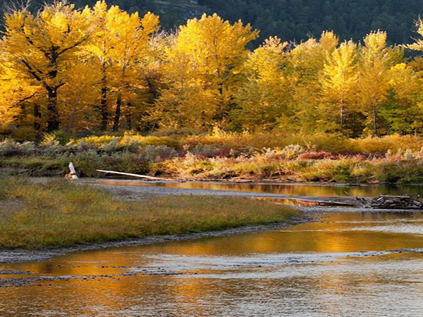 Montana autumn of the Blackfoot River. Credit: USFWS.