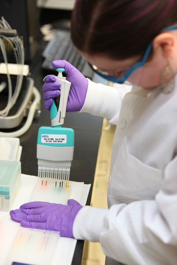 Scientist prepares a well-plate for high-throughput screening. 