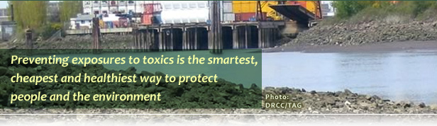 Reducing Toxic Threats photo banner, photo courtesy of Duwamish River Cleanup Coalition / Technical Advisory Group