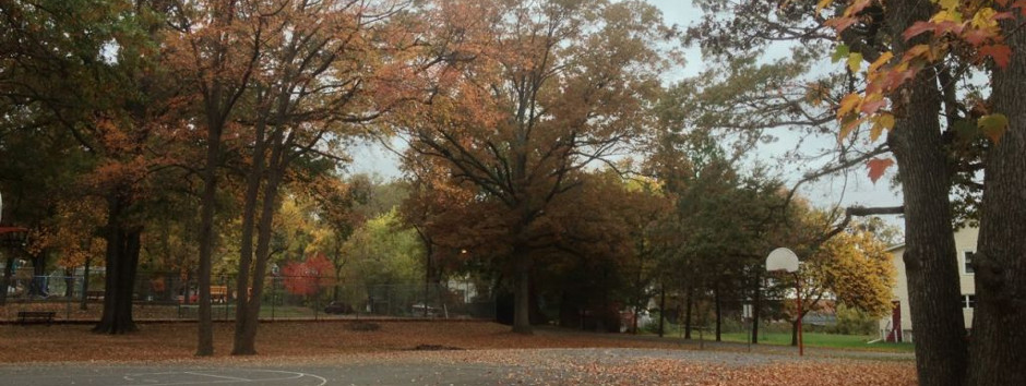 basketball court