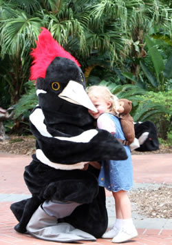 Girl hugging Ivory-billed Woodpecker.