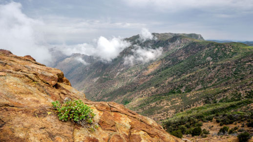 Gazing at Cuyapaipe Peak from Stevenson Peak © Photo by Alexander S. Kunz