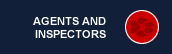 Agents and Insectors