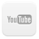 Follow ANSI on Youtube