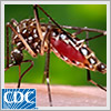 Mosquitoes can carry viruses, like West Nile and Zika. In this podcast, Mr. Hubbard teaches his neighbors, the Smith family, ways to help reduce the number of mosquitoes inside their home.
