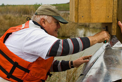 Photo of an NWF Volunteer using a wrench to attach a new duck box to a post at Bayou Sauvage NWR