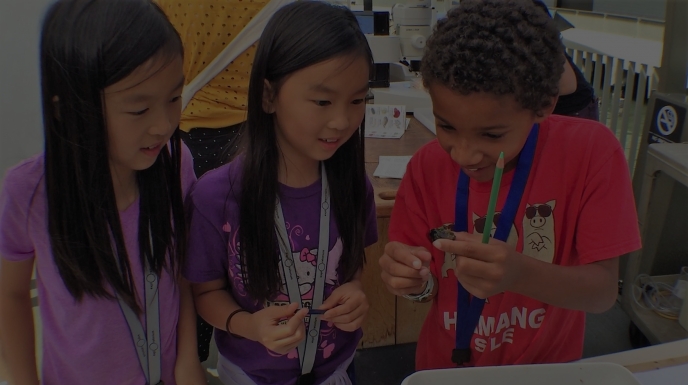 Exploratorium visitors examine marine life collected from NOAA's pCO2 buoy.