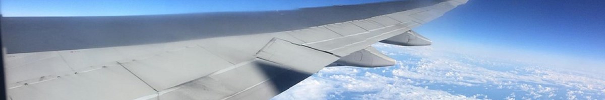 Wing of Plane - Travel American Aviation Sites