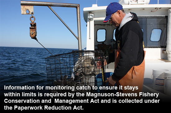 Information for monitoring catch to ensure it stays within limits is required by the Magnuson-Stevens Fishery Conservation and Management Act.