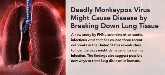 Deadly monkeypox virus might cause disease by breaking down lung tissue