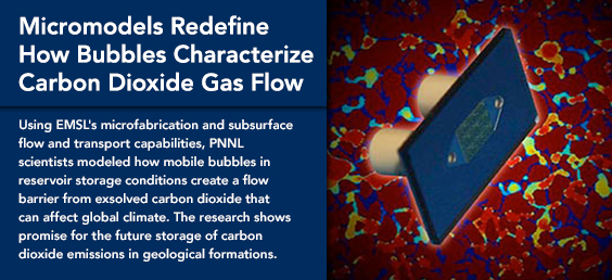 Micromodels Redefine How Bubbles Characterize Carbon Dioxide Gas Flow