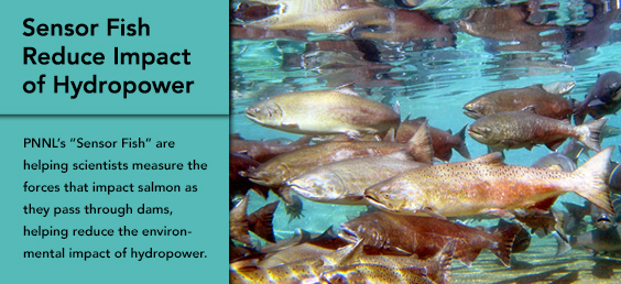 Sensor Fish Reduce Impact of Hydropower 