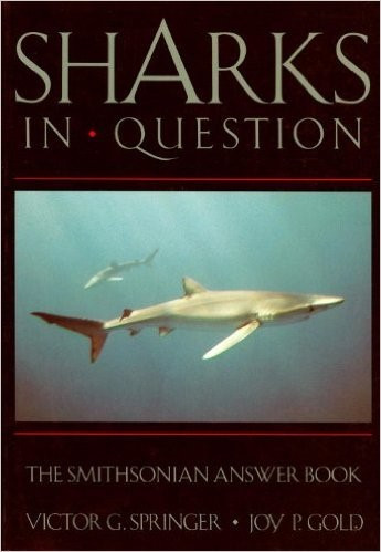 sharks-in-question