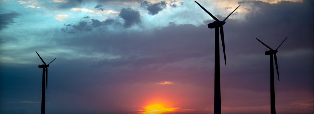 wind farm study