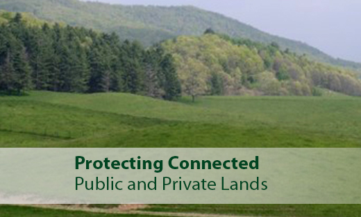 NRCS and the U.S. Forest Service will invest $32 million in FY2017 to improve the health and resiliency of forest ecosystems on connected public and private lands.