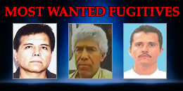  Most Wanted Fugitives image