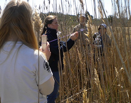 People in a field using a string to measure