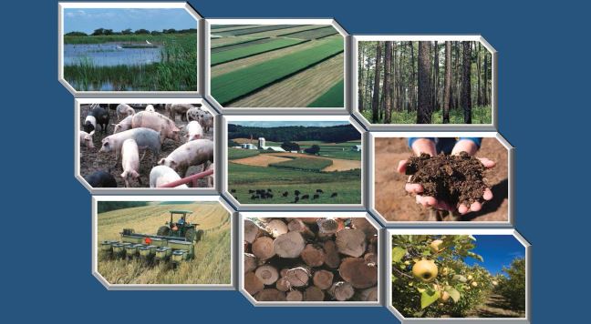 Science-Based Methods for Entity-Scale Quantification of Greenhouse Gas Sources and Sinks from Agriculture and Forestry Practices