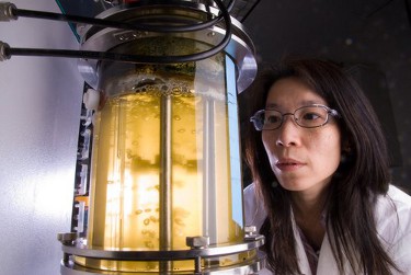 Photo of a woman looking at a cylinder full of yellow liquid that’s glowing from an internal light source