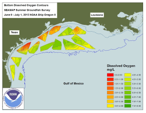 CTD Data