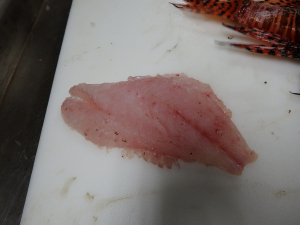 Lionfish Fillet