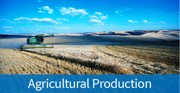 Agriculture Production