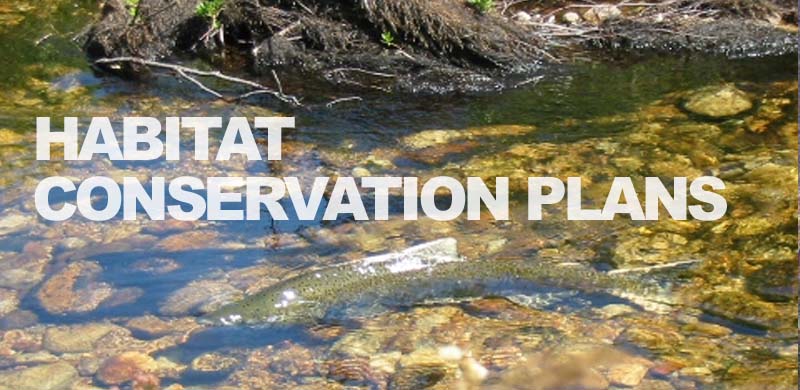 Habitat Conservation Plans: Mitigating private activities to protect vulnerable species