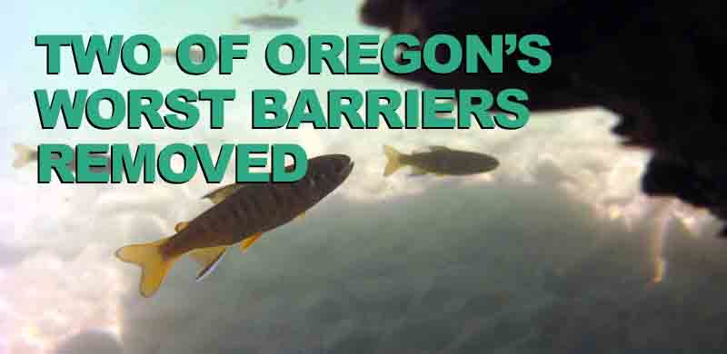 Two of Oregon's Worst Barriers Removed